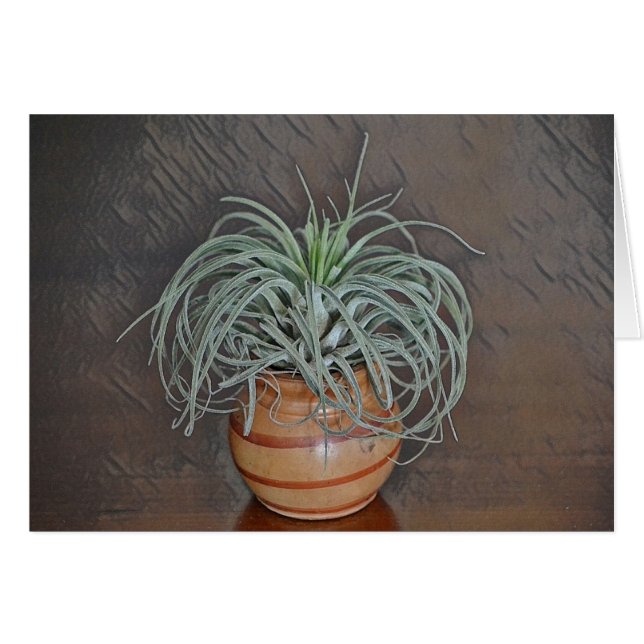 Cartão Fábrica (Frente horizontal)