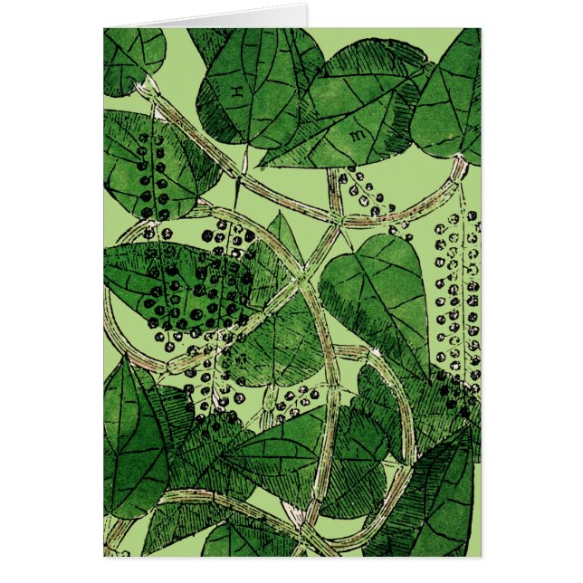 Cartão Fábrica de Pimenta Negra, 1578 (Frente)