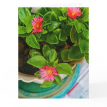 Fábrica De Rosa Dourada Do Jardim Em Saudação Dobr