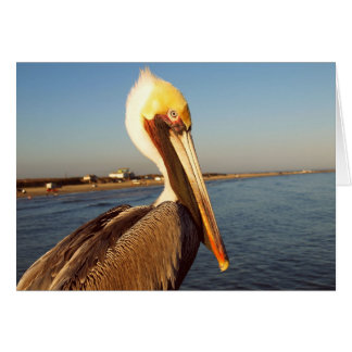 Cartão Faça-Me Lixar