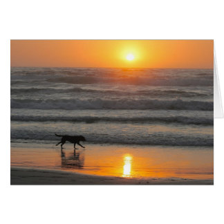 Cartão Faça o a maioria de seu dia