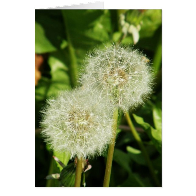 Cartão Faça um desejo (Frente)