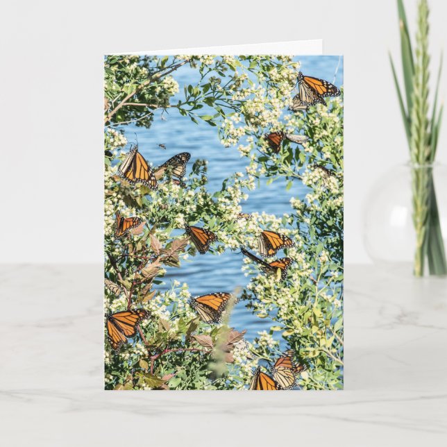 Cartão Faça você Jantar (Frente)