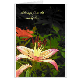 Cartão Face À Luz Do Sol