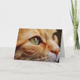 Cartão Face determinada de um gengibre