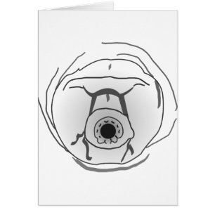 Cartão Face Tardigrado do Bear Água