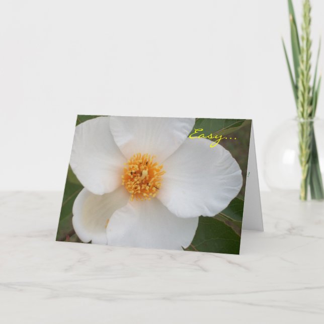 Cartão Fácil é (Frente)