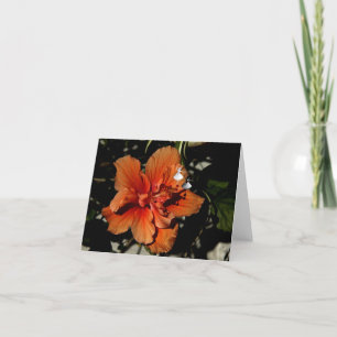 Cartão Fada-Sombra de Orange Hibiscus