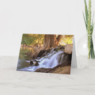 Cartão Fairmount  Park - Riverside