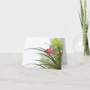 Cartão Fairy Lily Magic Note Cards