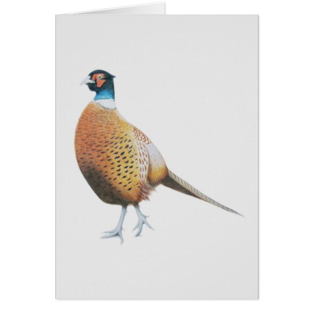 Cartão Faisão 2012 (Frente)