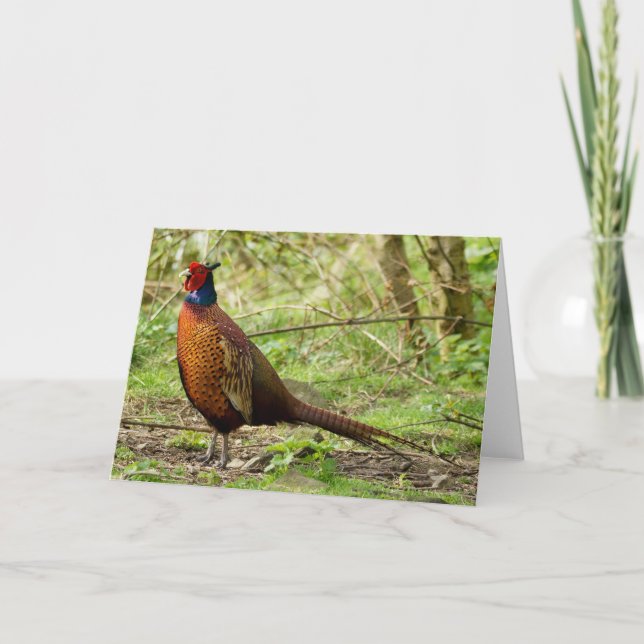 Cartão Faisão selvagem (Frente)