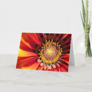 Cartão Faísca brilhante