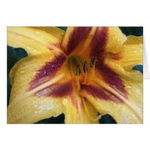 Cartão Faísca vermelha amarela