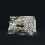 CARTÃO FALANDO SOBRE A TURTLE-NÃO SENTEM-SE LÁ FELIZ ANIV<br><div class="desc">AS TARTARTARUGAS NÃO VÊM MUITAS VEZES. ESTE É ATÉ UM COMEDIANO! ENVIE ESTE CARTÃO AO SEU AMIGO OU MEMBRO DA FAMÍLIA E COLOQUE UM SORRISO ENORME NO ROSTO DELES PARA TER CERTEZA!</div>