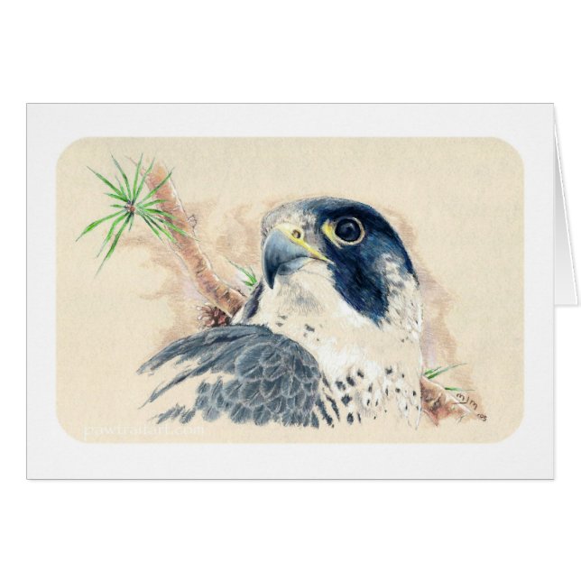 Cartão Falcão (Frente Horizontal)