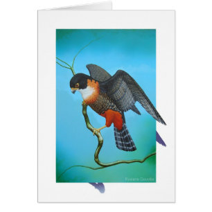 Cartão Falcão Alaranjado-breasted