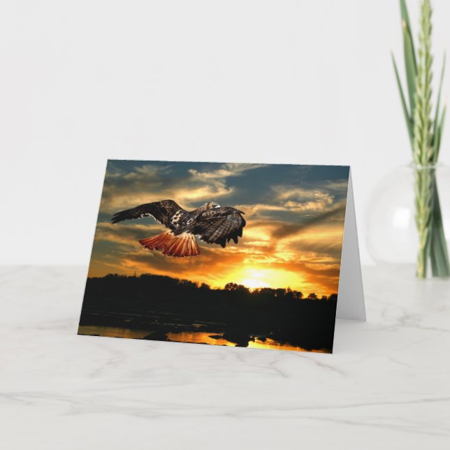 Cartão Falcão atado vermelho no por do sol (Frente)