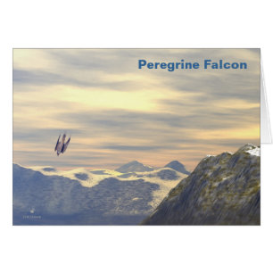Cartão Falcão Peregrino Velocity do Terminal