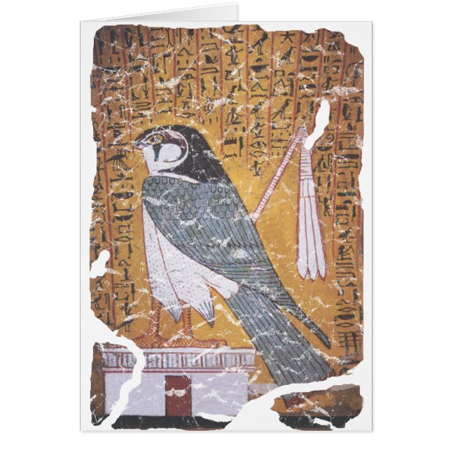 Cartão Falcão preto (Frente)