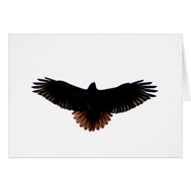 Cartão falcão Vermelho-atado (Frente Horizontal)