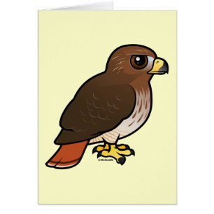 Cartão falcão Vermelho-atado