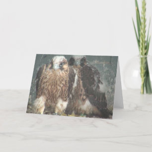 Cartão Falcon note card
