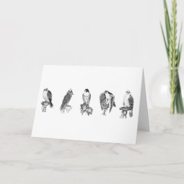 Cartão Falconry Studies Birthday Card