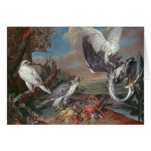 Cartão Falcons de Greenland Cyr