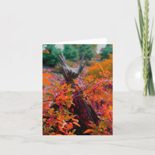 Cartão Fall collection note card