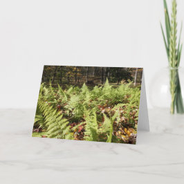 Cartão Fall Ferns