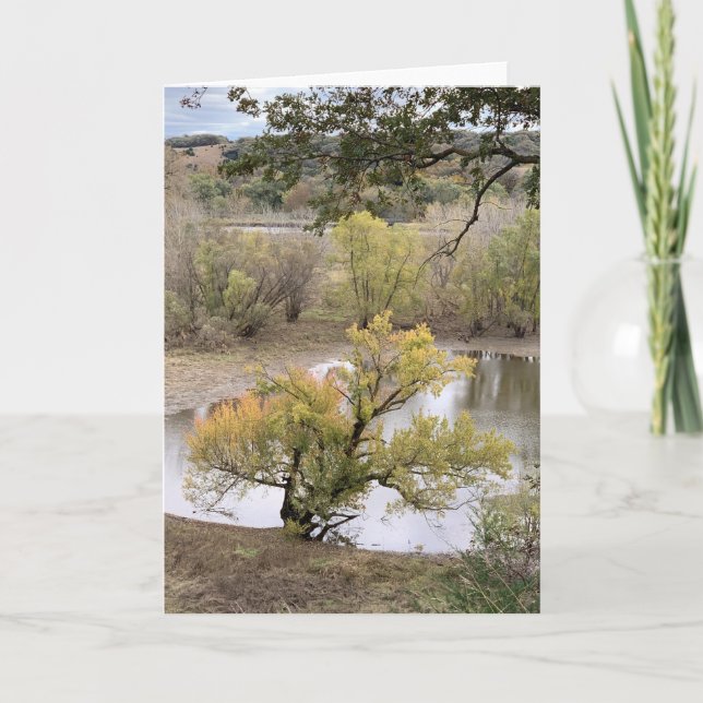 Cartão Fall Foliage at Good Earth State Park (Frente)