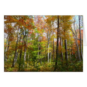 Cartão Fall Forest I Autumn Landscape Photoshop