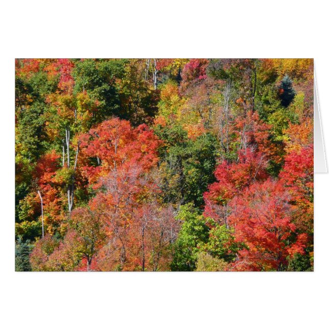Cartão Fall Hillside Colorter Autumn Nature Fotografia (Frente Horizontal)