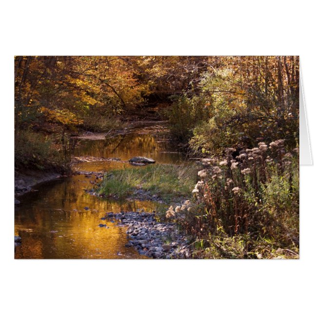 Cartão Fall River (Frente Horizontal)