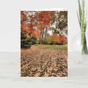 Cartão Falling for Iowa Blank Note Card