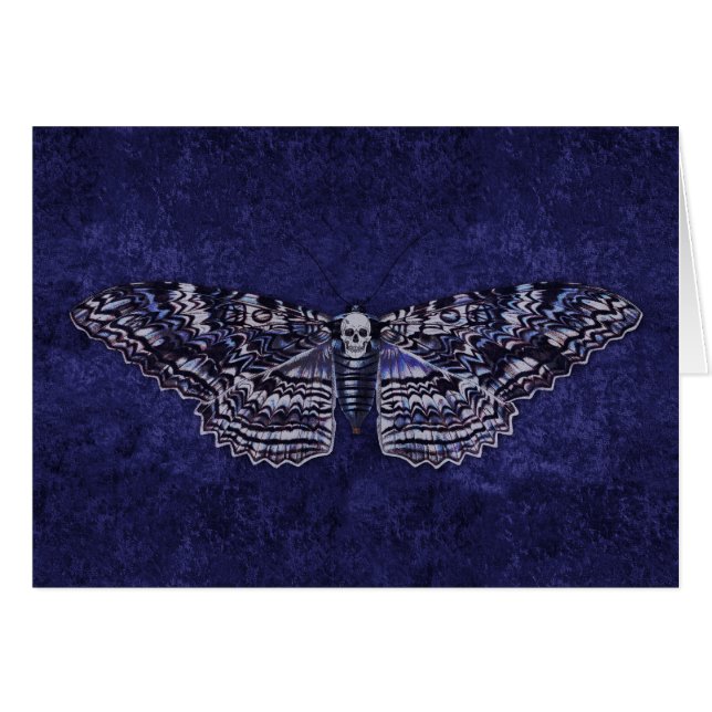 Cartão Falln Deathshead Moth (Frente horizontal)