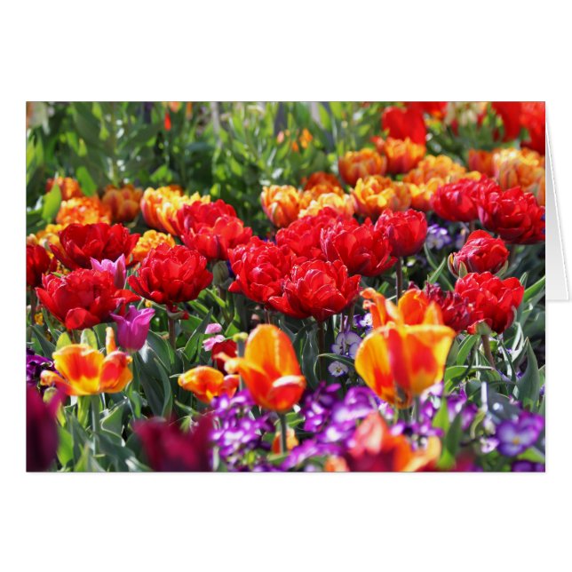 Cartão Falln Floral Crimson Waves (Frente Horizontal)