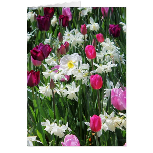 Cartão Falln Romantic Primavera Morning (Frente)