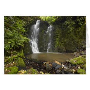 Cartão Falls em ferradura, Matai Falls