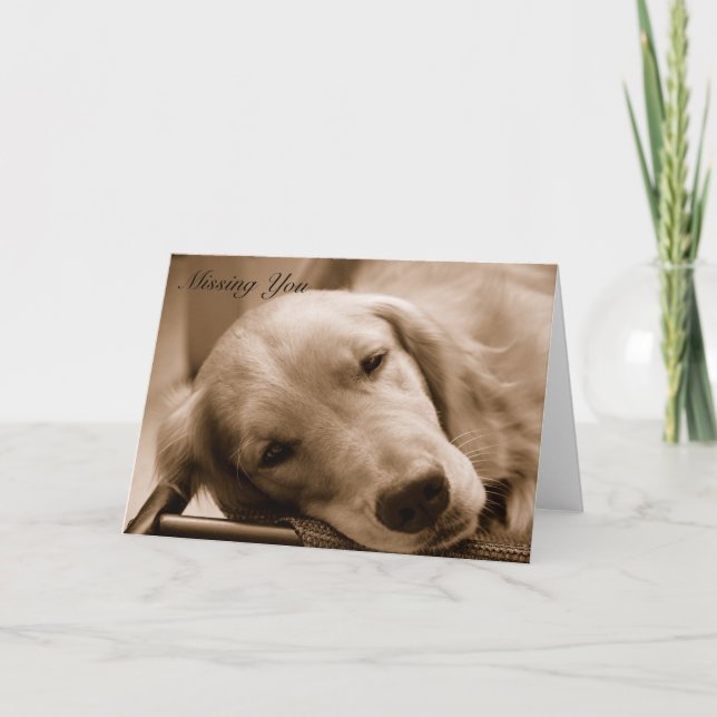 Cartão Faltando o (Frente)