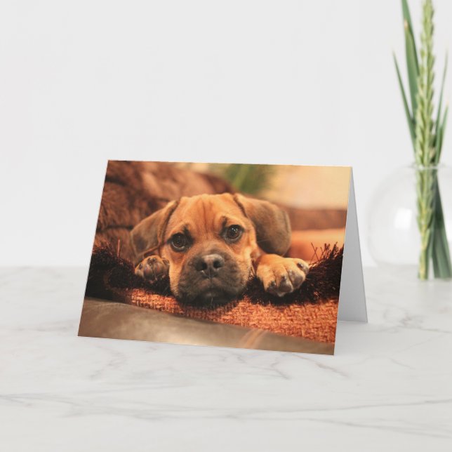 Cartão Faltando o (Frente)