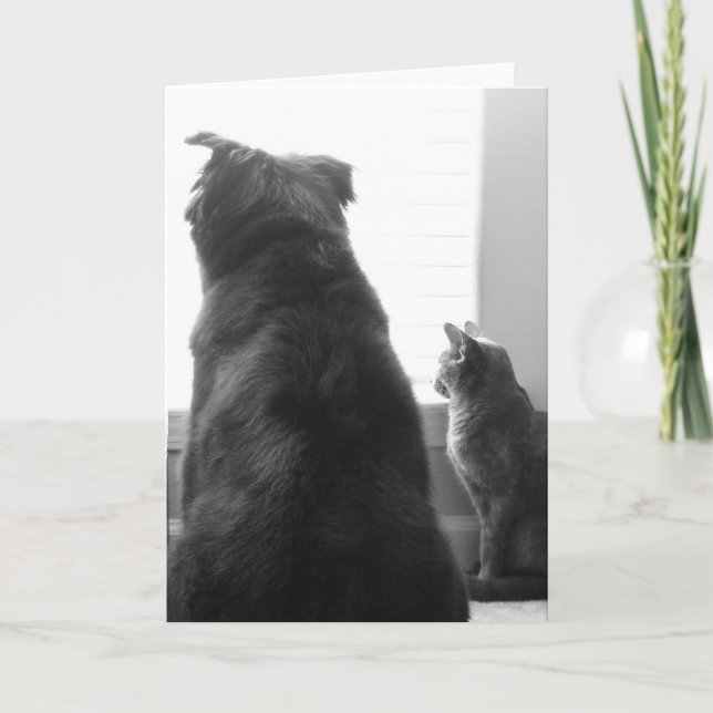 Cartão Faltando o (Frente)