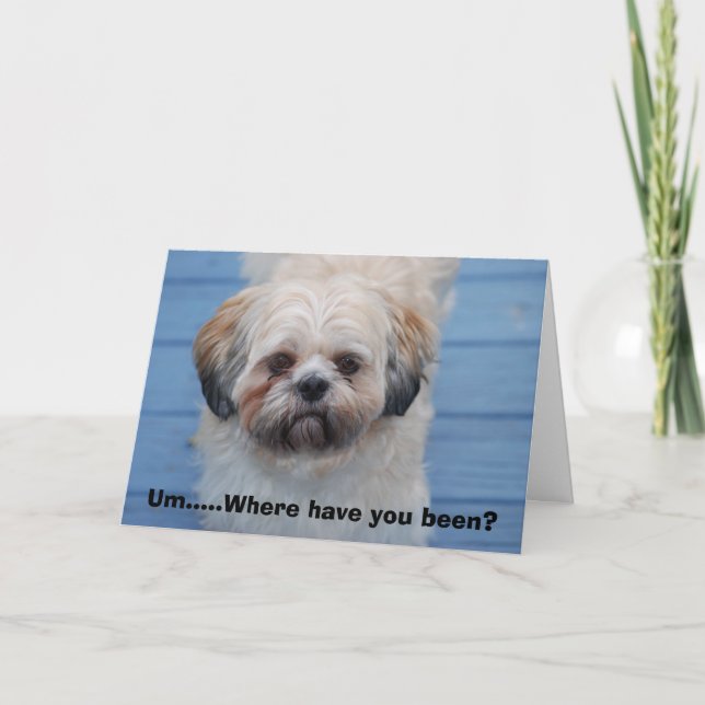 Cartão Faltando o (Frente)