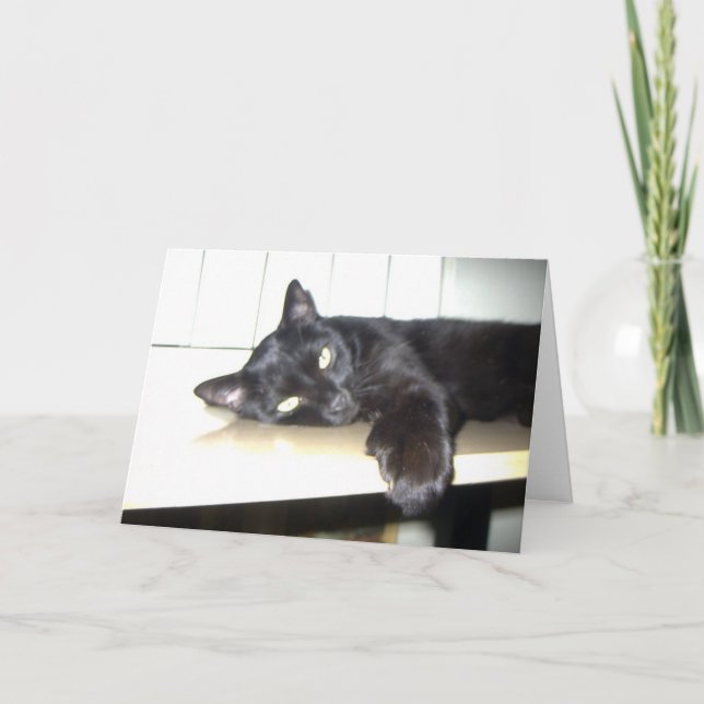 Cartão Faltando o (Frente)