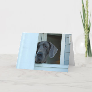 Cartão Faltando o carde