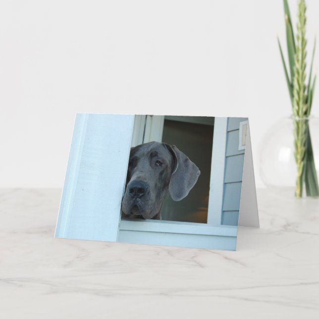 Cartão Faltando o carde (Frente)