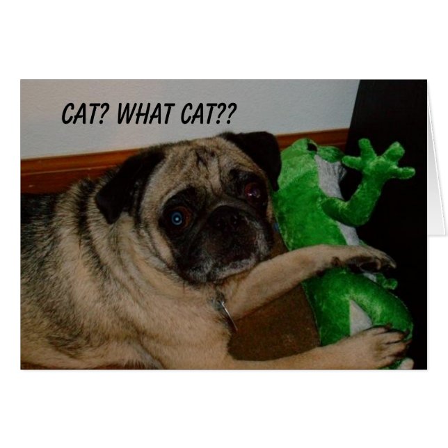 Cartão faltante do gato (Frente Horizontal)