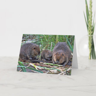 Cartão Família Beaver