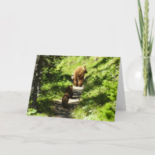 Cartão Família Brown Bear